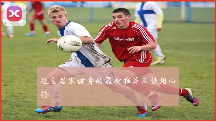 适合居家健身的器材推荐及使用心得